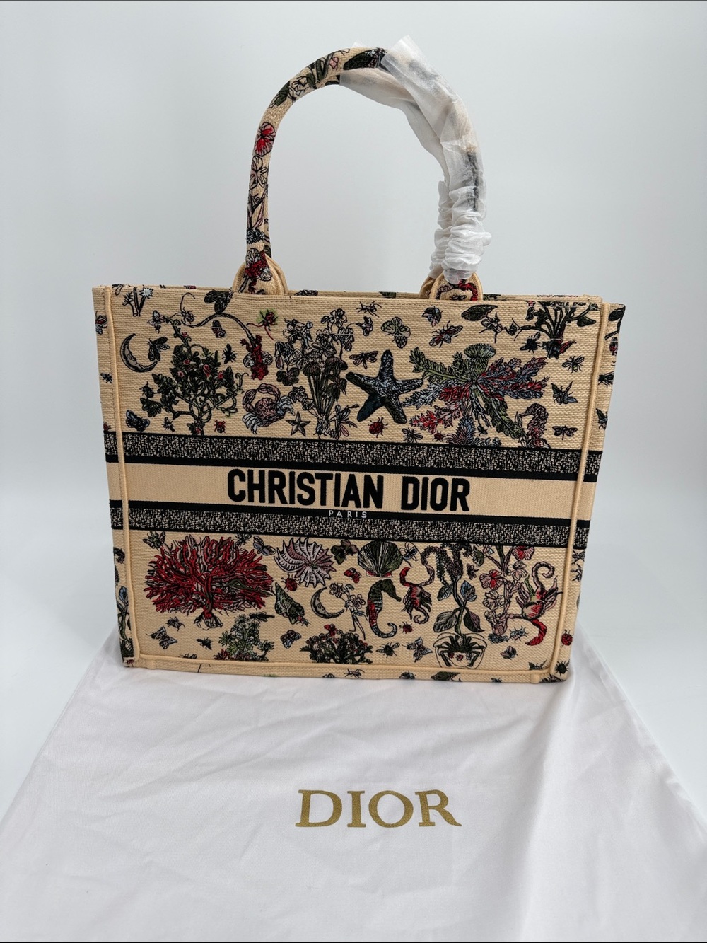 Canvas Large Beige Marine Embroidered Book Tote